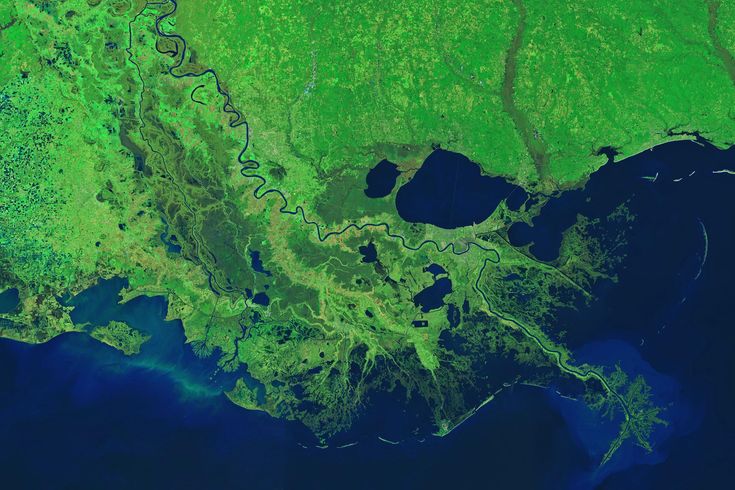 Mississippi Delta from space