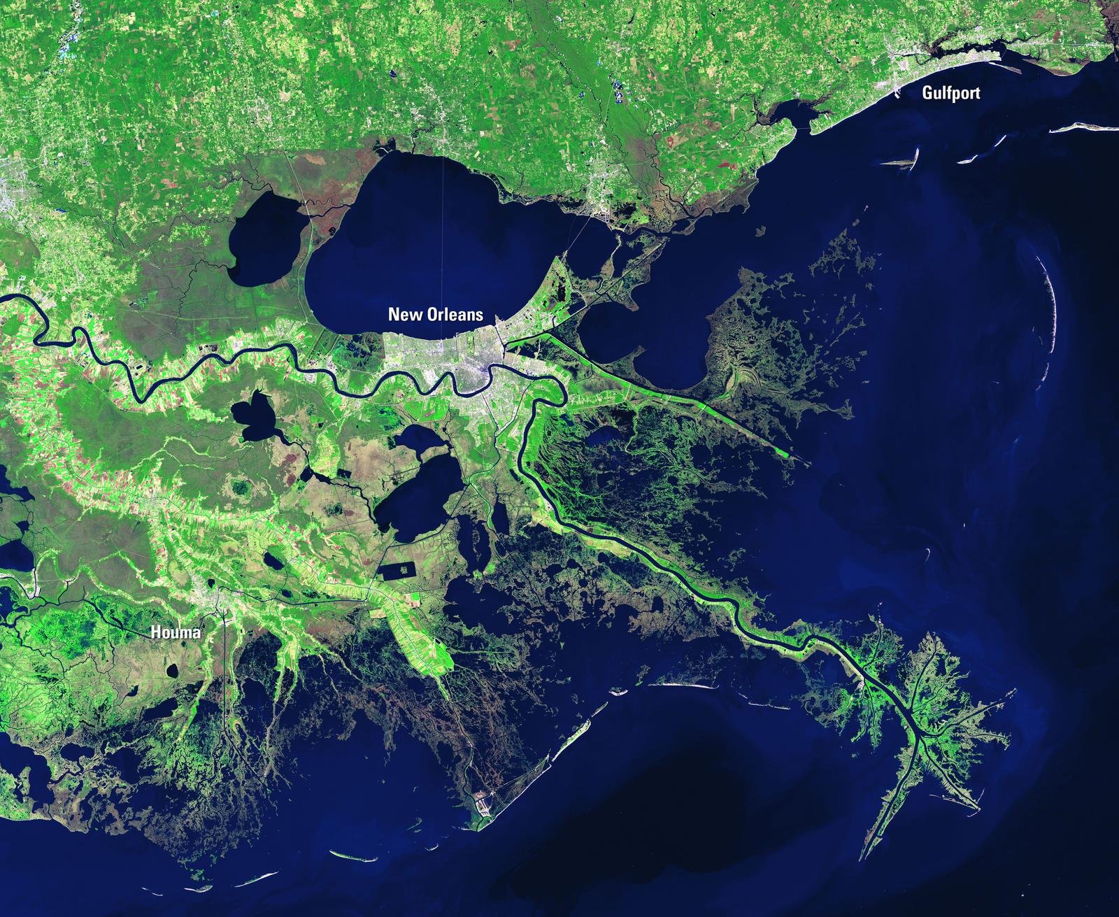 Mississippi Delta, Courtesy of USGS Earth Resources Observation and Science (EROS) Center.